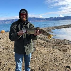 Meet your Posher, Mark